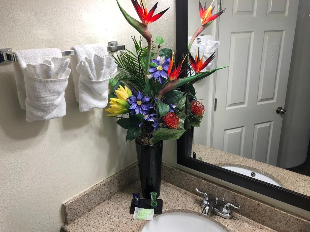 Econo Lodge Choice Hotels I 95 Savannah Gateway 24 Hour Fitness Center On Site Guest Laundry On Site Perkins Restaurant ジョージタウン エクステリア 写真